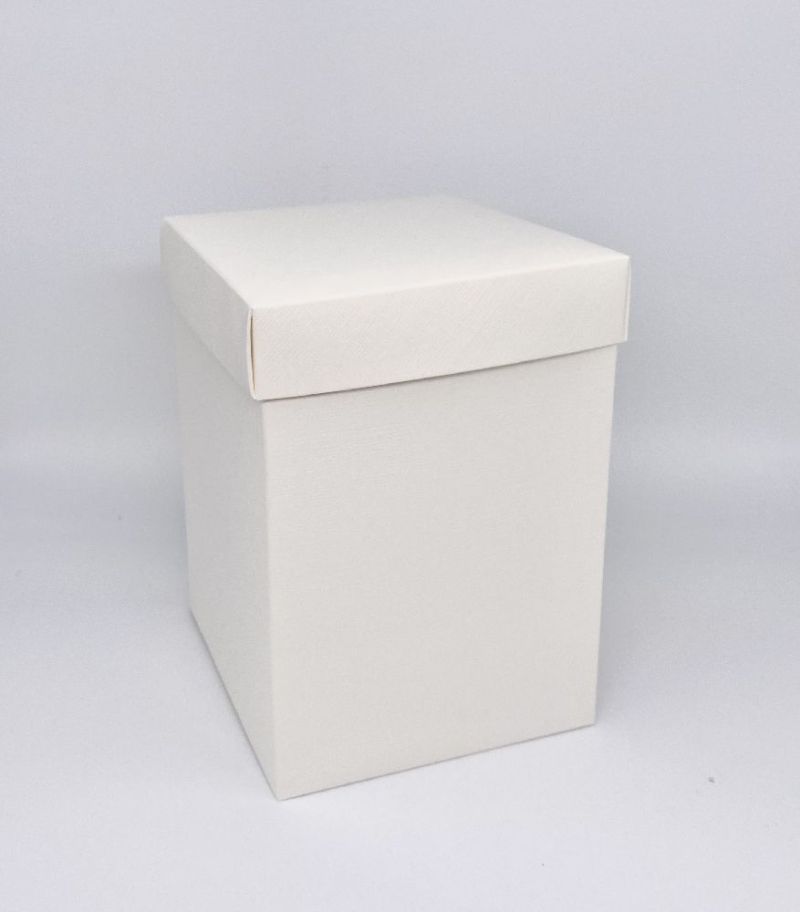SCO20/13977X10