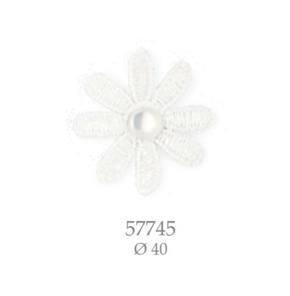 CA57745