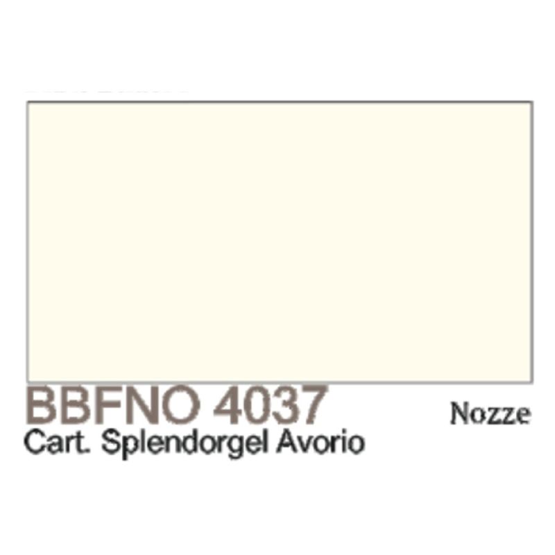FEBFF4037