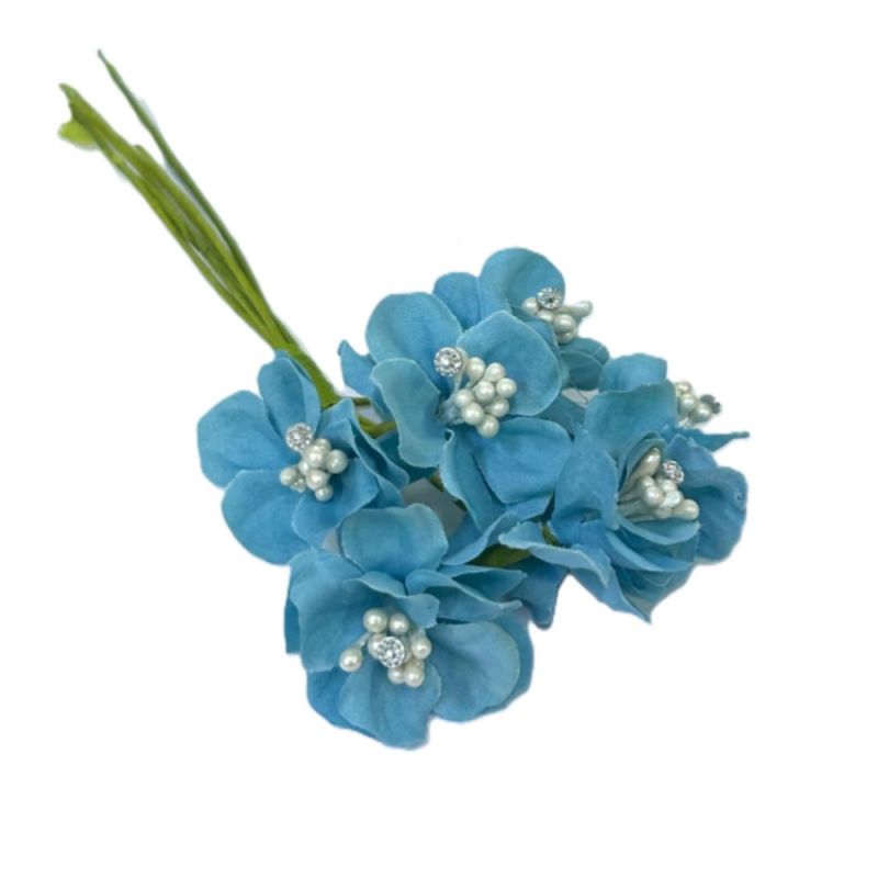 L2L25/L2413BLUEX6