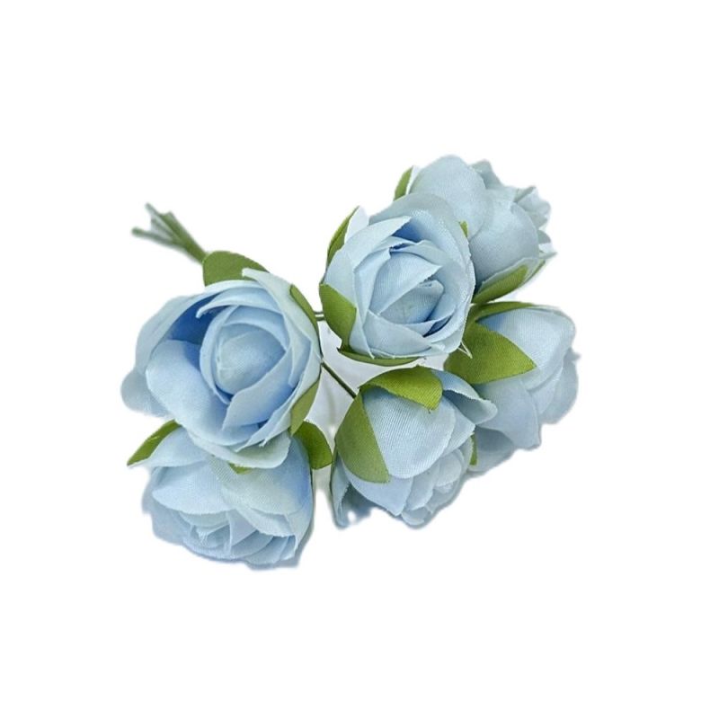 L2L25/L2414BLUEX6