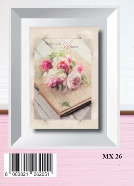 MAMX26