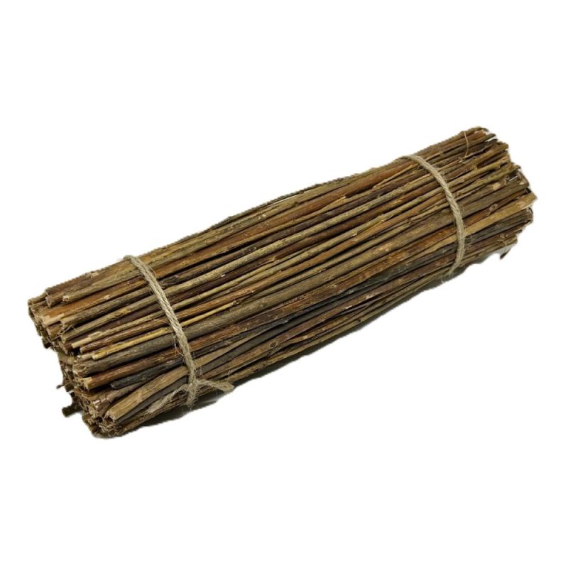 POZ25/FASCIOLEGNA